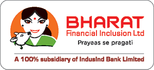Bharat Financial